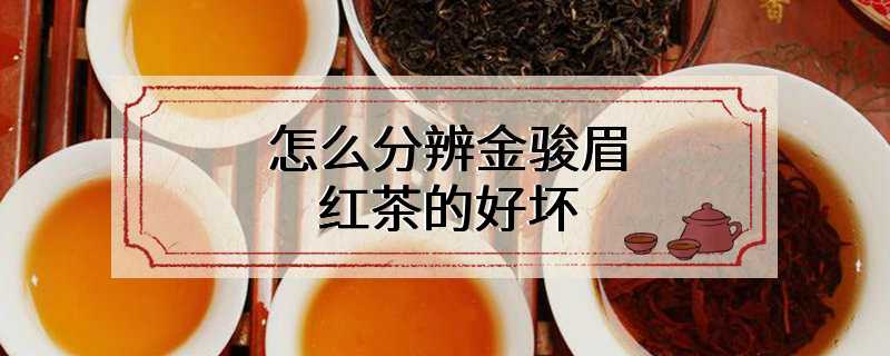 怎么分辨金骏眉红茶的好坏