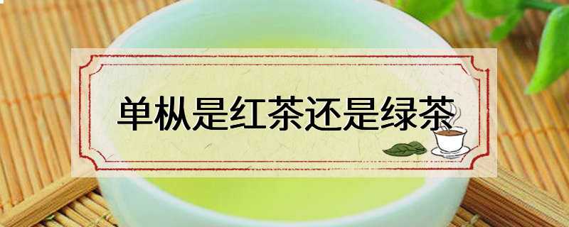 单枞是红茶还是绿茶