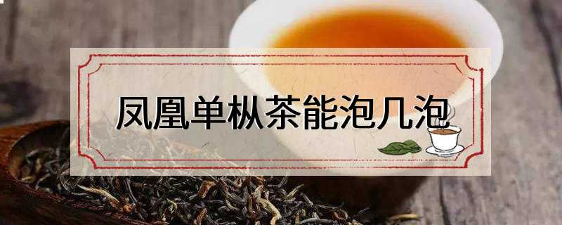 凤凰单枞茶能泡几泡