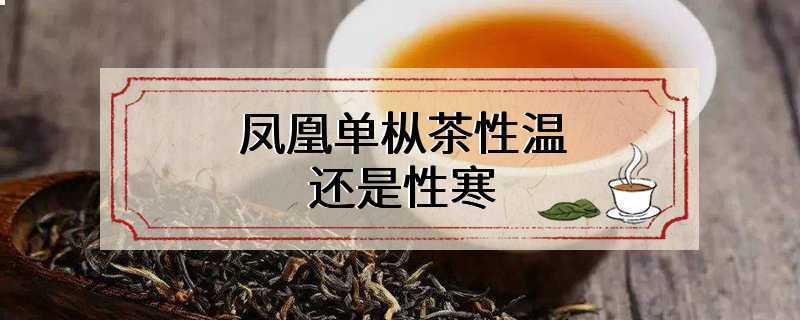 凤凰单枞茶性温还是性寒