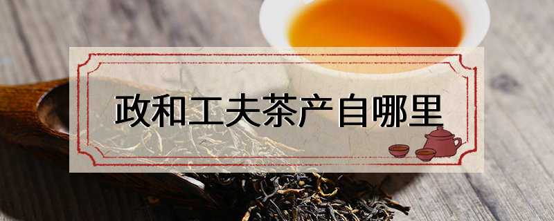 政和工夫茶产自哪里