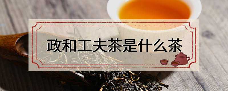 政和工夫茶是什么茶