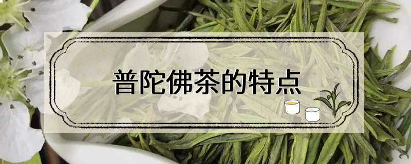 普陀佛茶的特点