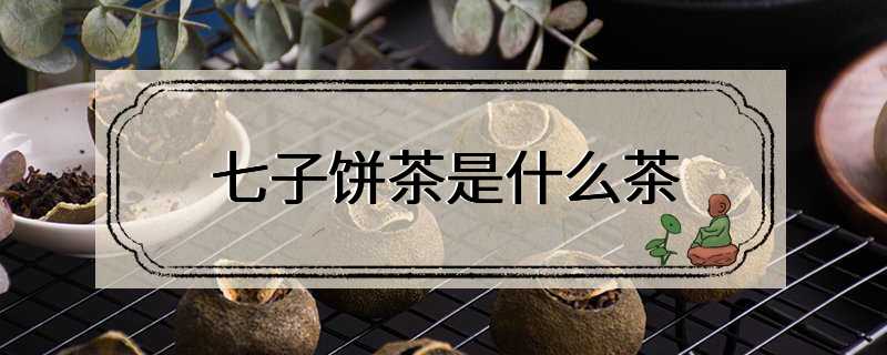 七子饼茶是什么茶