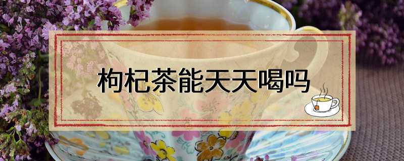 枸杞茶能天天喝吗