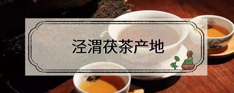 泾渭茯茶产地