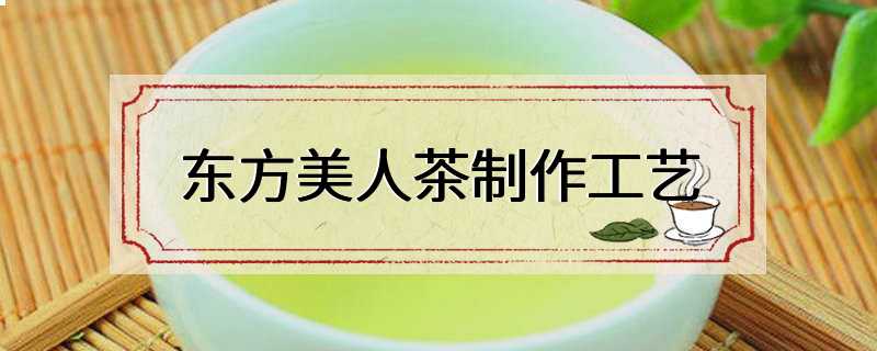 东方美人茶制作工艺