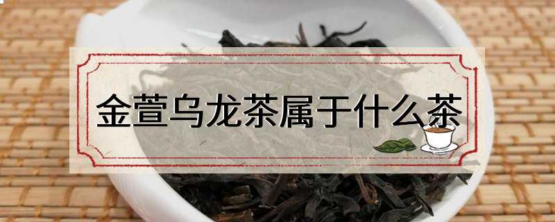 金萱乌龙茶属于什么茶