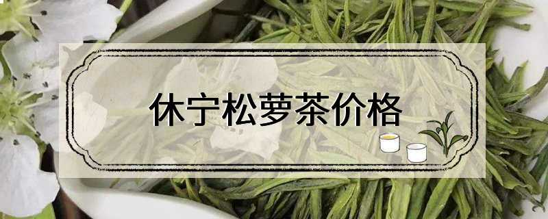 休宁松萝茶价格