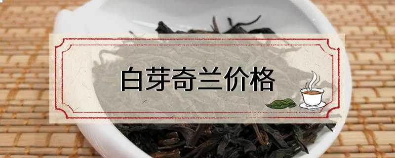 白芽奇兰价格