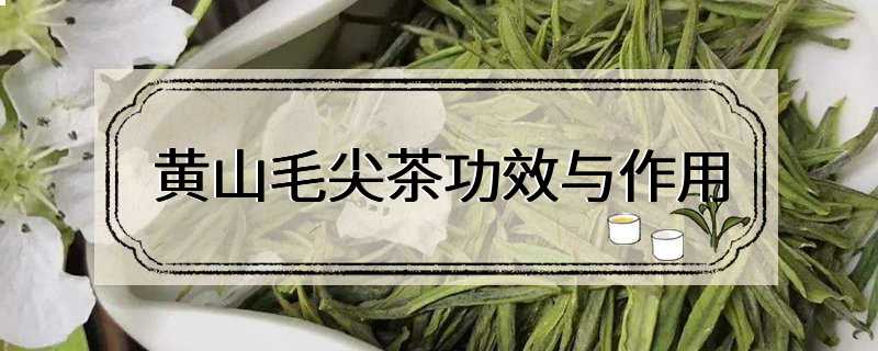 黄山毛尖茶功效与作用