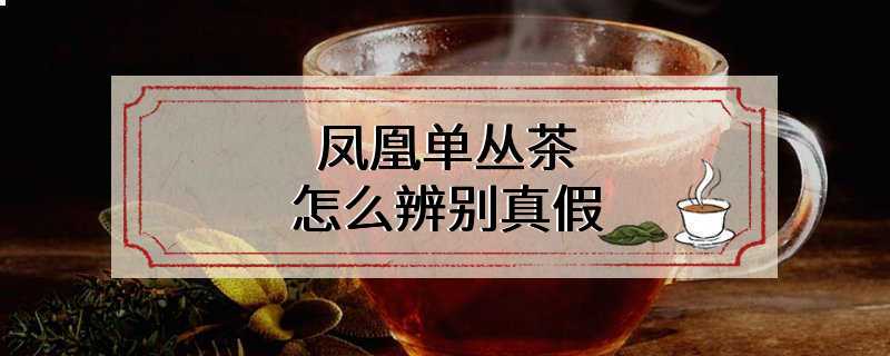 凤凰单丛茶怎么辨别真假