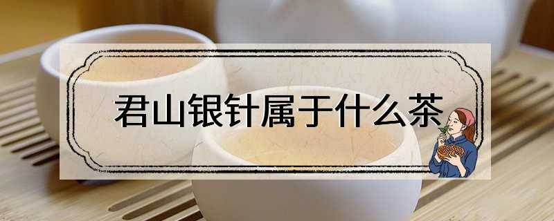 君山银针属于什么茶