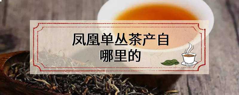 凤凰单丛茶产自哪里的