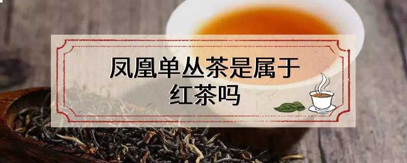 凤凰单丛茶是属于红茶吗