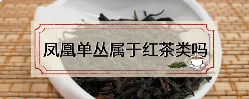 凤凰单丛属于红茶类吗