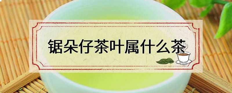 锯朵仔茶叶属什么茶