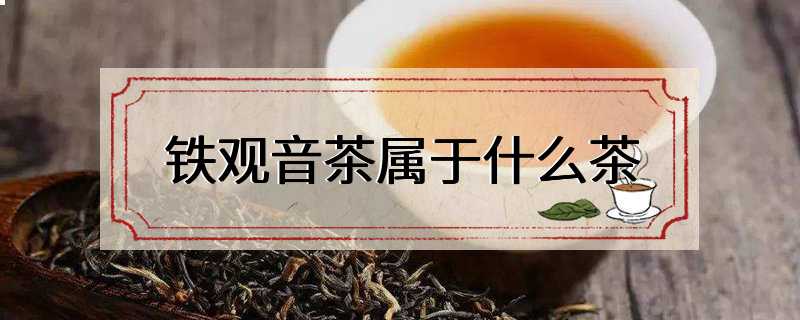 铁观音茶属于什么茶