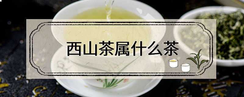 西山茶属什么茶