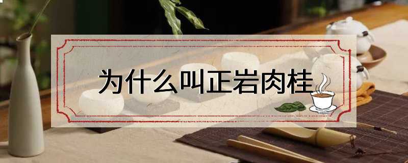 为什么叫正岩肉桂