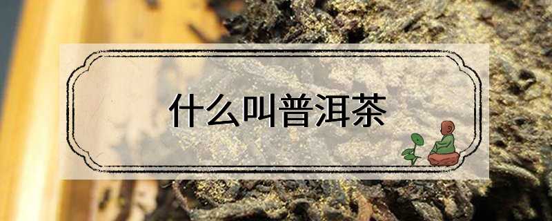 什么叫普洱茶