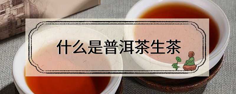 什么是普洱茶生茶