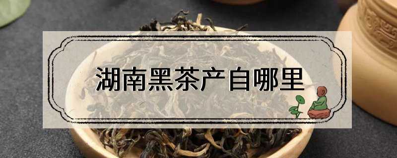 湖南黑茶产自哪里