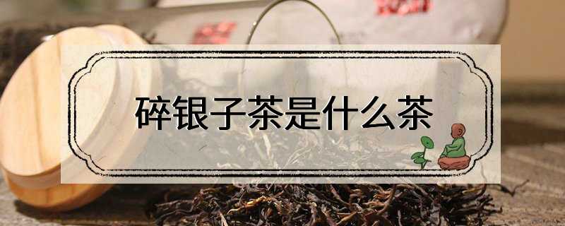 碎银子茶是什么茶