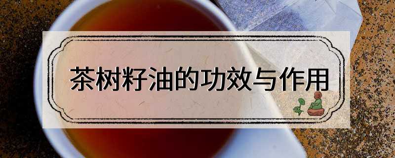 茶树籽油的功效与作用