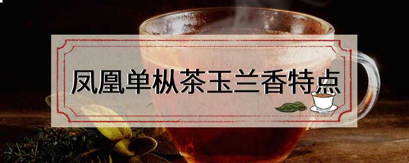 凤凰单枞茶玉兰香特点