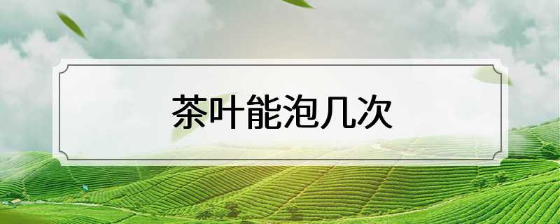 茶叶能泡几次