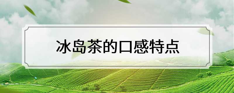 冰岛茶的口感特点