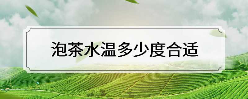 泡茶水温多少度合适