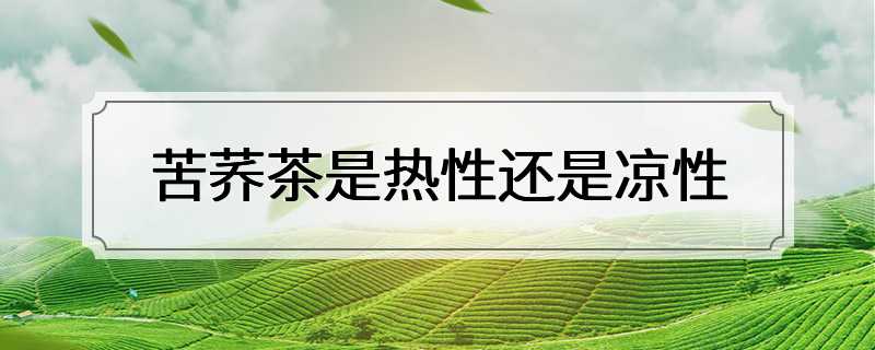 苦荞茶是热性还是凉性