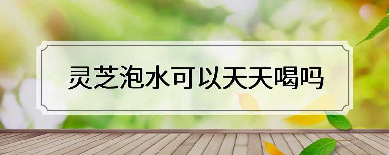 灵芝泡水可以天天喝吗