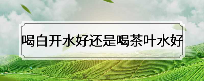 喝白开水好还是喝茶叶水好