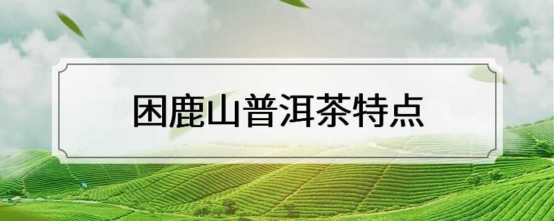 困鹿山普洱茶特点