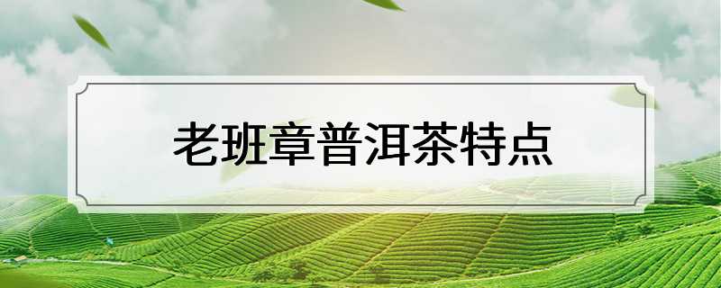 老班章普洱茶特点