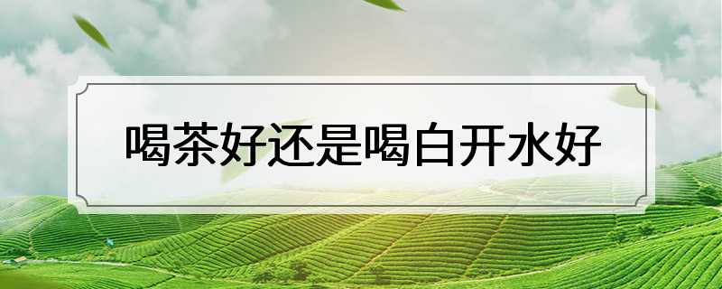 喝茶好还是喝白开水好