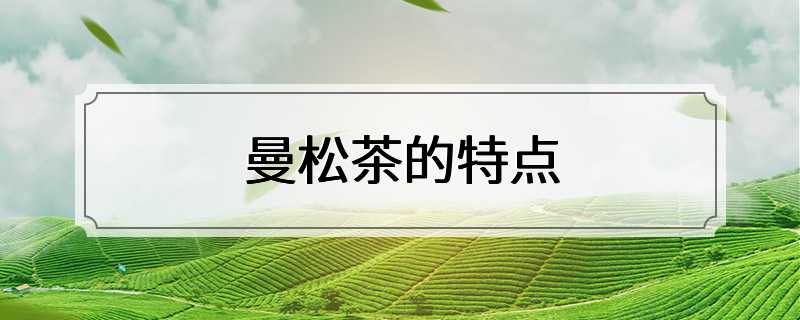 曼松茶的特点