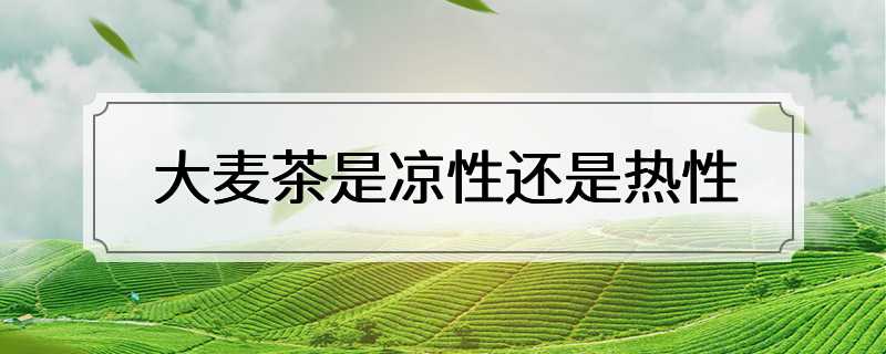 大麦茶是凉性还是热性