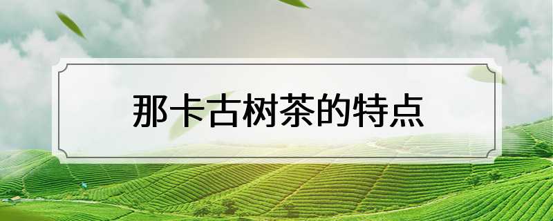 那卡古树茶的特点