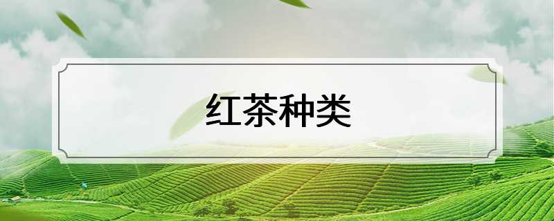 红茶种类