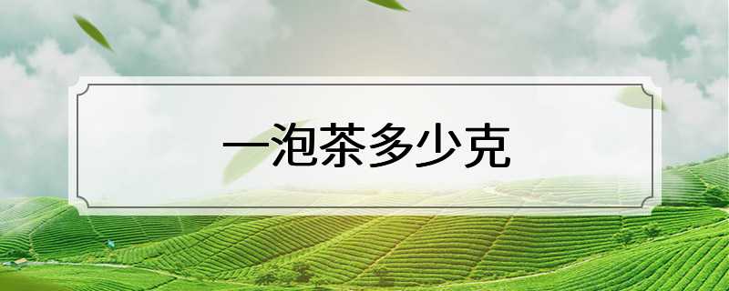 一泡茶多少克