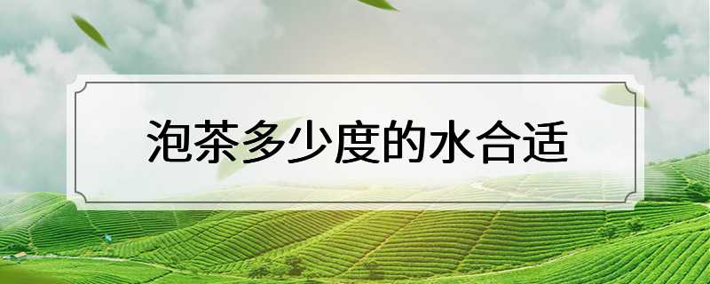 泡茶多少度的水合适