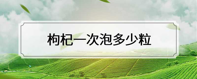 枸杞一次泡多少粒