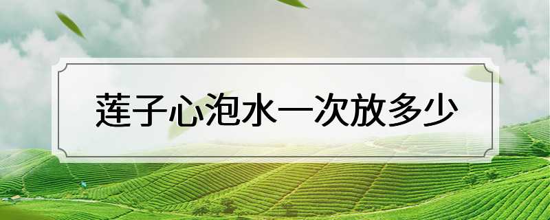 莲子心泡水一次放多少