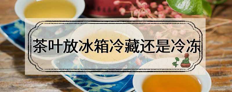 茶叶放冰箱冷藏还是冷冻