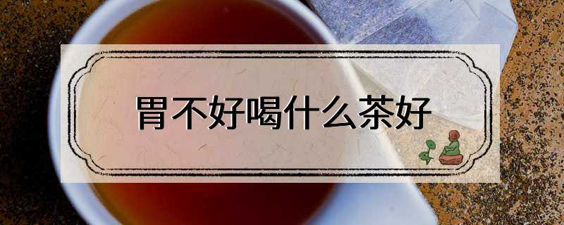 胃不好喝什么茶好