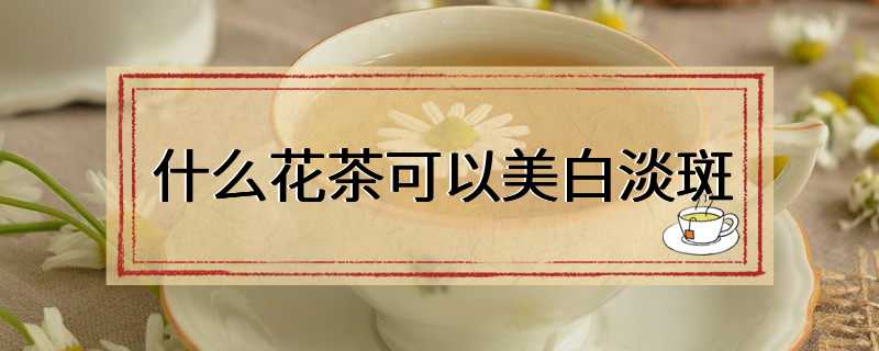 什么花茶可以美白淡斑